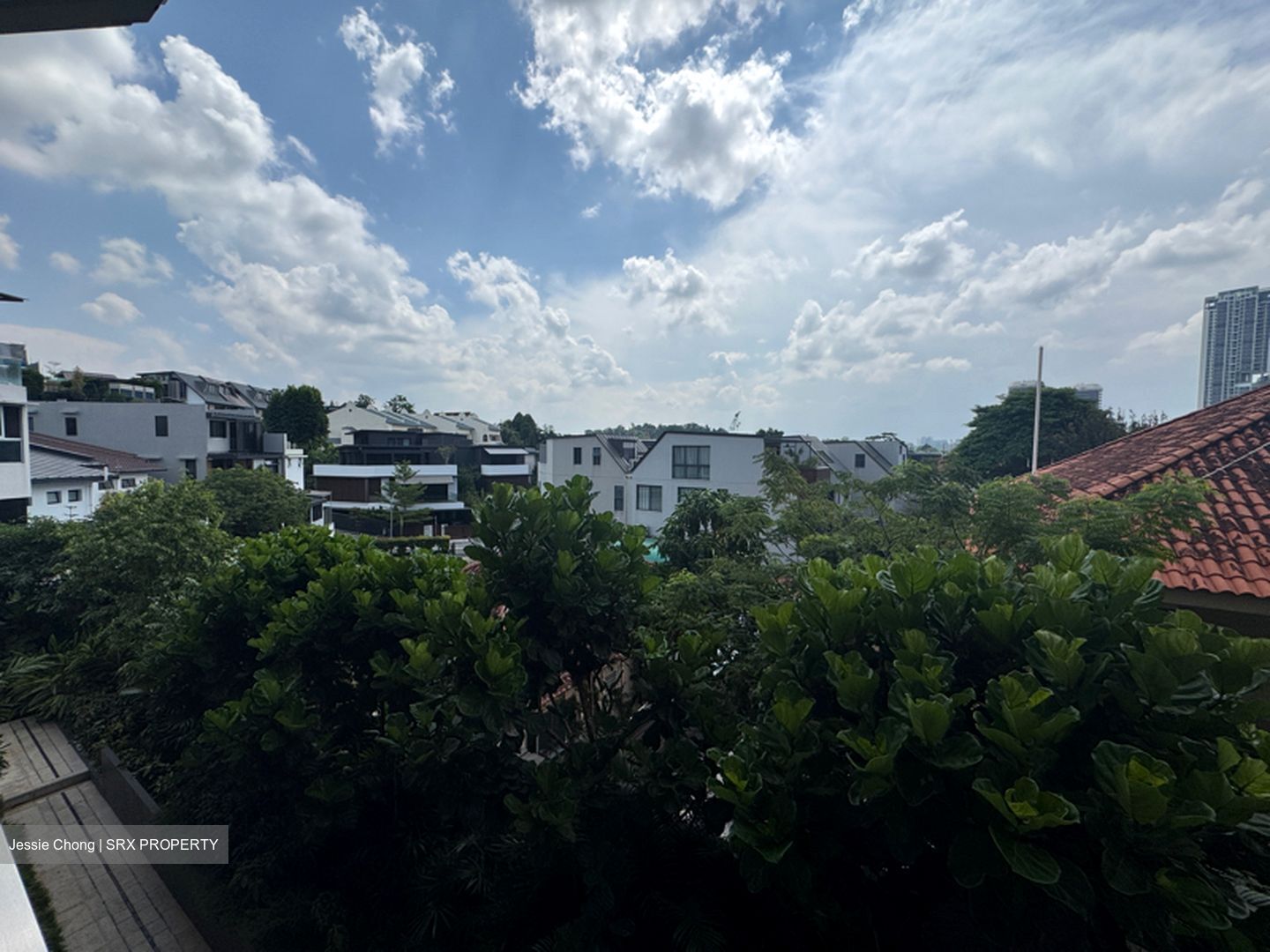 Peak Residence (D11), Condominium #569348971